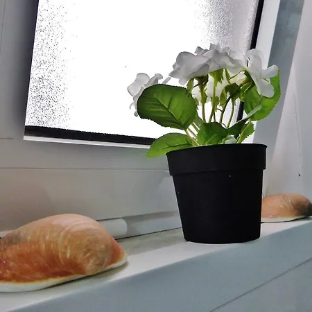 Embaixador Mateus Апартаменти Лісабон